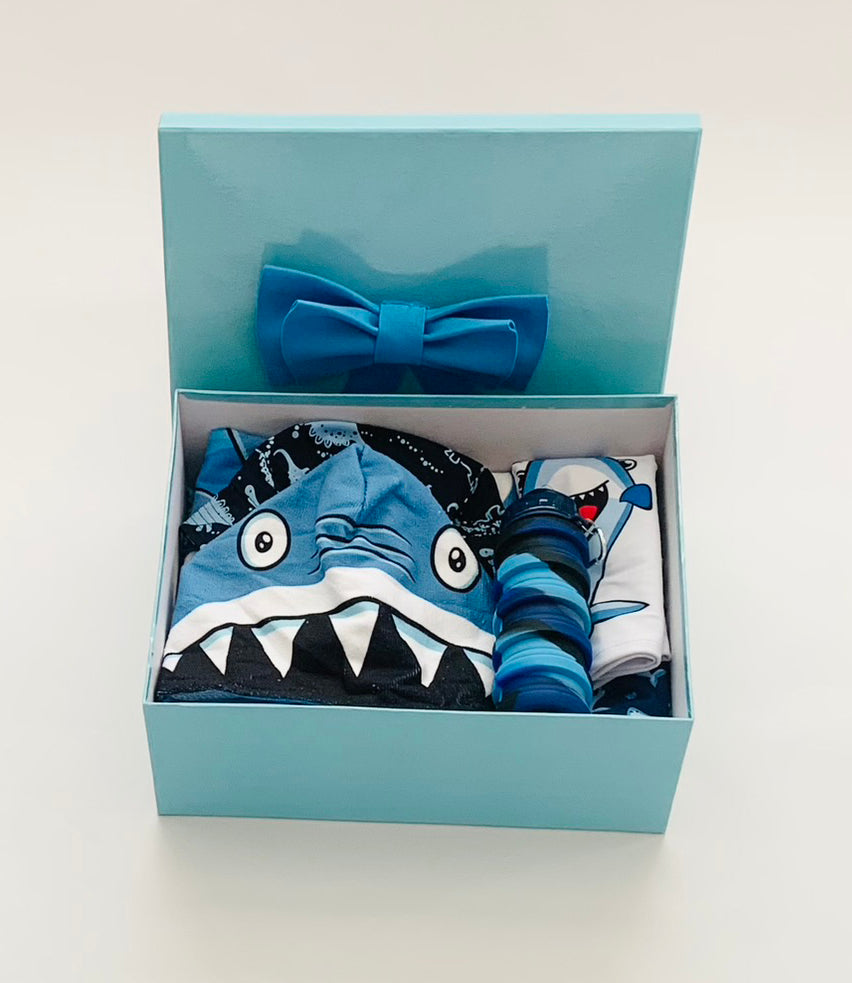 Boy Toddler Swim Set